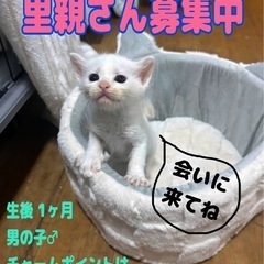 まんまるカギシッポ