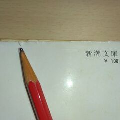 『武蔵野』国木田独歩　新潮文庫の画像