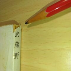 『武蔵野』国木田独歩　新潮文庫の画像