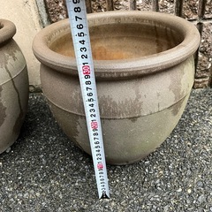 水蓮鉢の画像
