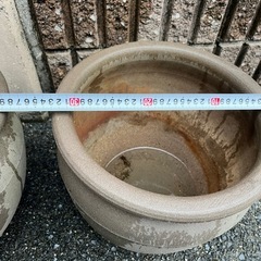 水蓮鉢の画像