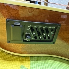 新品　プレイテック　12弦ギターの画像