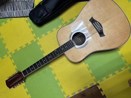 新品　プレイテック　12弦ギター