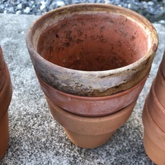 植木鉢　23個　小さめ　まとめ売りの画像