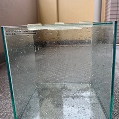 水槽30cmキューブ型の画像