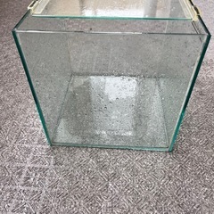 水槽30cmキューブ型の画像