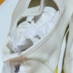 ムーンスター　20センチ上履きの画像