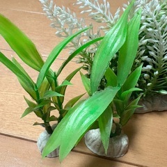 人工水草　200円の画像