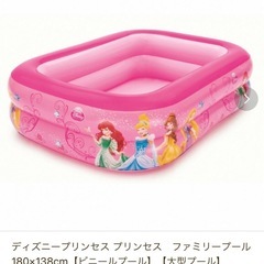 ディズニープリンセス ファミリープール