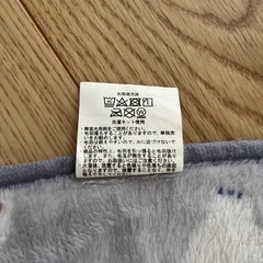 北極熊柄 スリーパー 35X50cmの画像