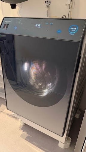 SHARP シャープ ドラム式洗濯乾燥機 ES-W112