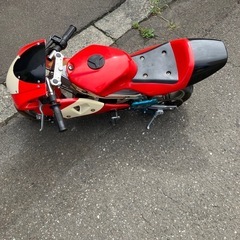 ポケバイの画像