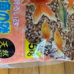 熱帯魚用明るい砂の画像