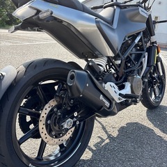 【美品】スヴァルトピレン250の画像