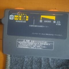 カーペット冬にの画像