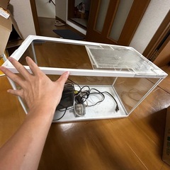 水槽の画像