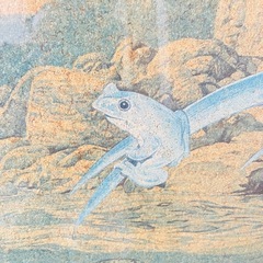ジグソーパズル 完成品 川魚　アヤメ 1000ピース 昭和レトロの画像