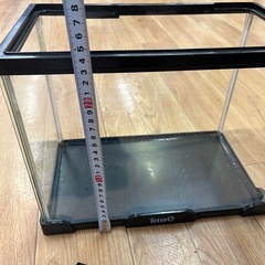 プラスチック製水槽 　網付き　500円の画像