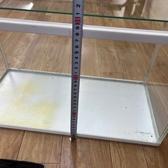 プラスチック製水槽　1000円の画像