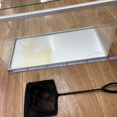 プラスチック製水槽　1000円の画像