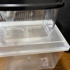 飼育　昆虫ケースの画像