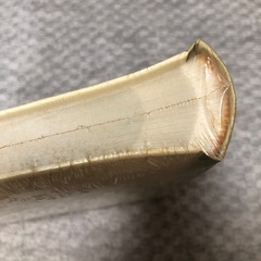 フォトアルバムの画像