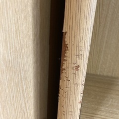 棚の画像