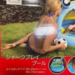 ビニールプール　水鉄砲　シャボン玉の画像