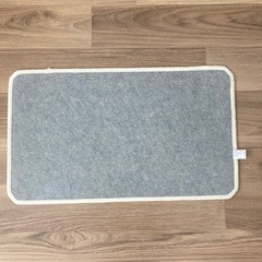 玄関マット 75×45cm アイボリーの画像