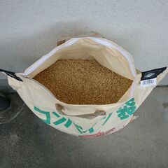 🌾新米 ひのひかり 籾（モミ）30kg　令和７年産　①の画像