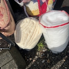 綿　未使用品、中古の画像