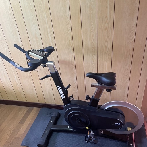 ハイガー産業　スピンバイク HG-EX-5000