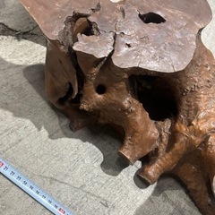 流木　天然木　置物 インテリア オブジェの画像