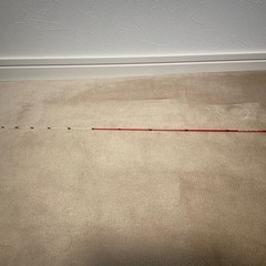 黒鯛工房　筏　穂先の画像