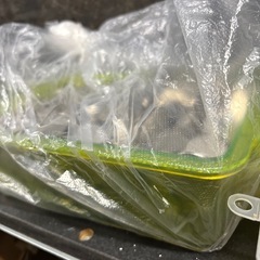メダルの画像