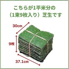 天然芝　 TM9（国産：鹿児島産）の画像