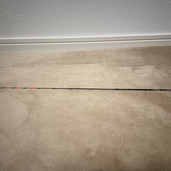 黒鯛工房　筏　穂先の画像