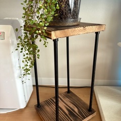 棚と観葉植物のセットの画像