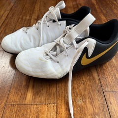 ジュニアサッカースパイクの画像