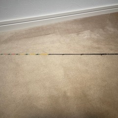 黒鯛工房　筏　穂先の画像
