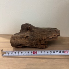 アクアリウム用 流木の画像