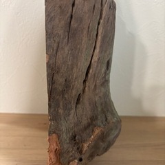 アクアリウム用 流木の画像