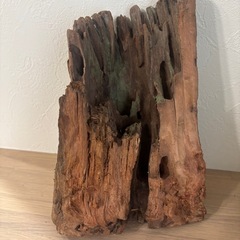 アクアリウム用 流木の画像