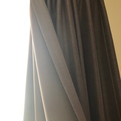 カーテン2枚100×228
の画像