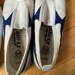 体育館シューズ、上履セットの画像