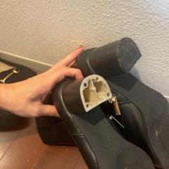 【引き取り希望】の画像
