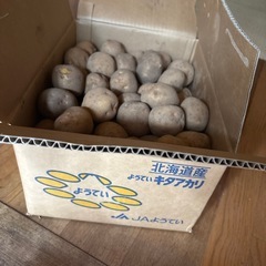 ジャガイモの画像