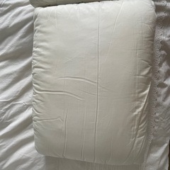 枕　Ikea PRAKTVÄDD  2個セット　の画像