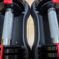 可変式ダンベル　5.5kg　2個の画像