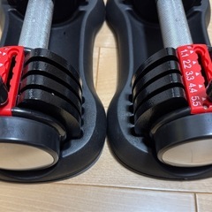 可変式ダンベル　5.5kg　2個の画像